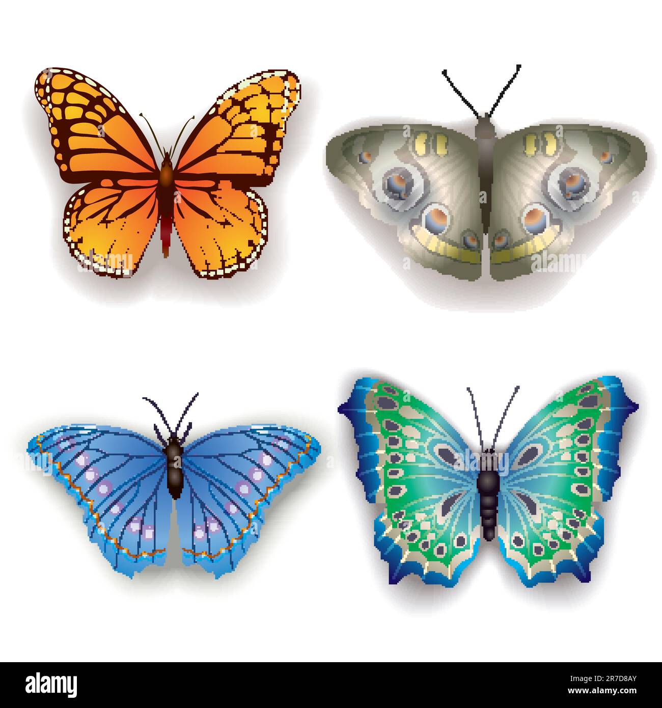 Farfalle isolato su uno sfondo bianco Illustrazione Vettoriale