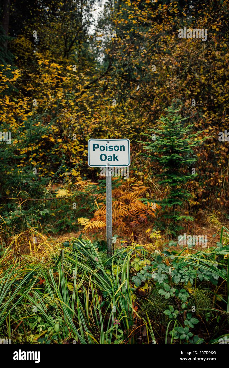 Cartello di avvertimento di Poison Oak nell'area boscosa del Seward Park di Seattle Foto Stock