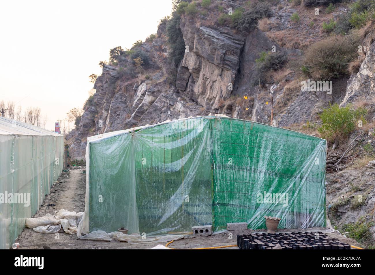 Serra tunnel di politene per colture crescenti Foto Stock