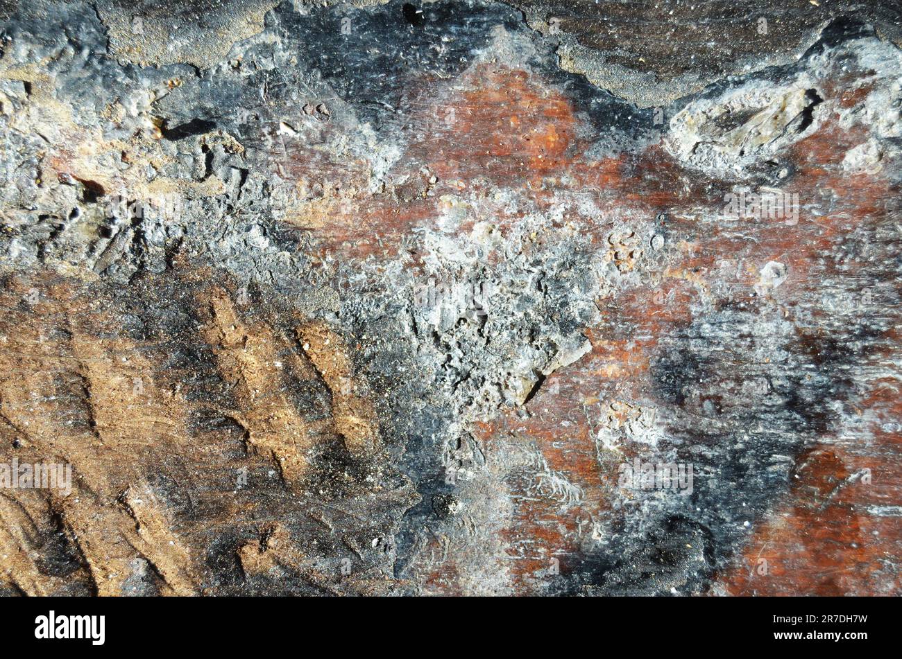 primo piano di pietre preziose e minerali sotterranei Foto Stock