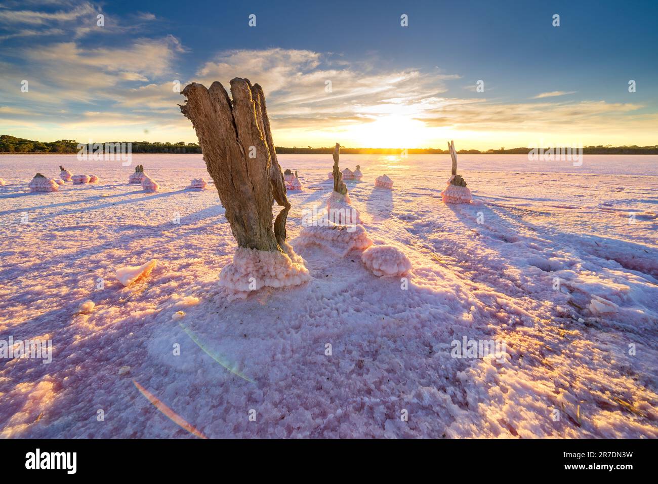 Vista dal basso angolo di un moncone intemperiato incastonato nei cristalli di un lago salato rosa al tramonto a Dimboola, nel quartiere Wimmera di Victoria, Australia Foto Stock