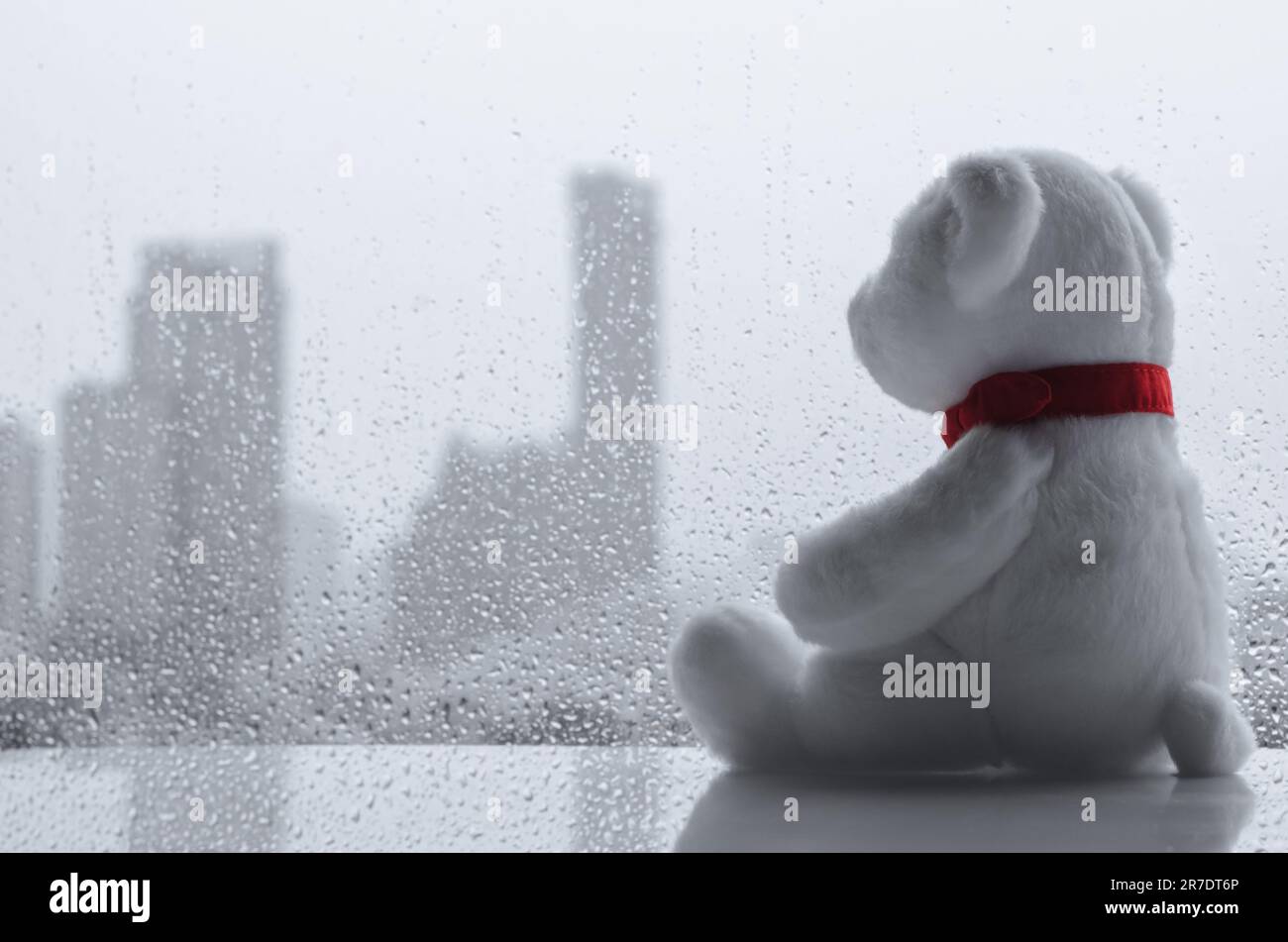 Orso bianco orsacchiotto seduto da solo e guardare la finestra in giorno piovoso. Foto Stock