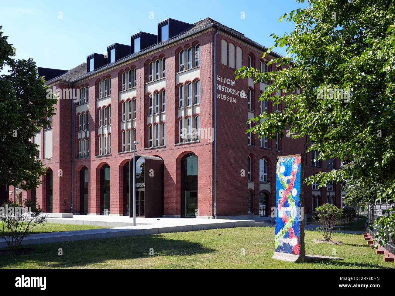 Berlino, Germania. 12th giugno, 2023. Il Museo di Storia Medica (BMM) della Charité. Il museo riapre il 15 giugno 2023, dopo tre anni di ristrutturazione e di grande ammodernamento. Sono state rinnovate anche le infrastrutture turistiche e i servizi di costruzione su tutti i sette piani. La mostra speciale "il cervello nella scienza e nell'arte" inizierà anche all'apertura. Credit: Soeren Stache/dpa/Alamy Live News Foto Stock