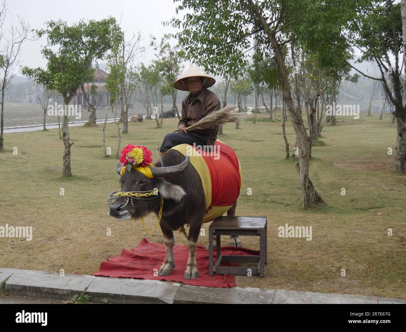 Vietnam, Hoa Lu, tomba dell'Imperatore, Guardia del Tempio Foto Stock