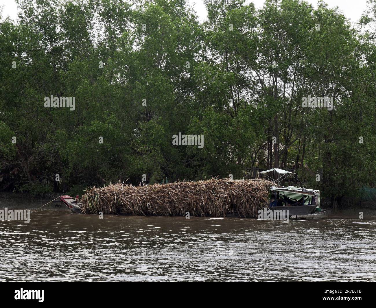 Vietnam, Delta del Mekong, barca Foto Stock