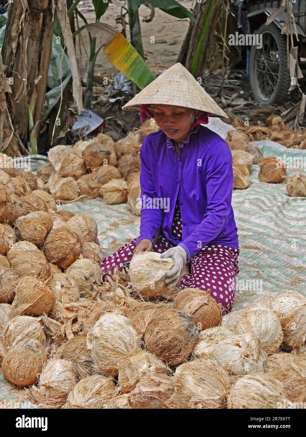 Vietnam, Delta del Mekong, fabbrica di cocco Foto Stock