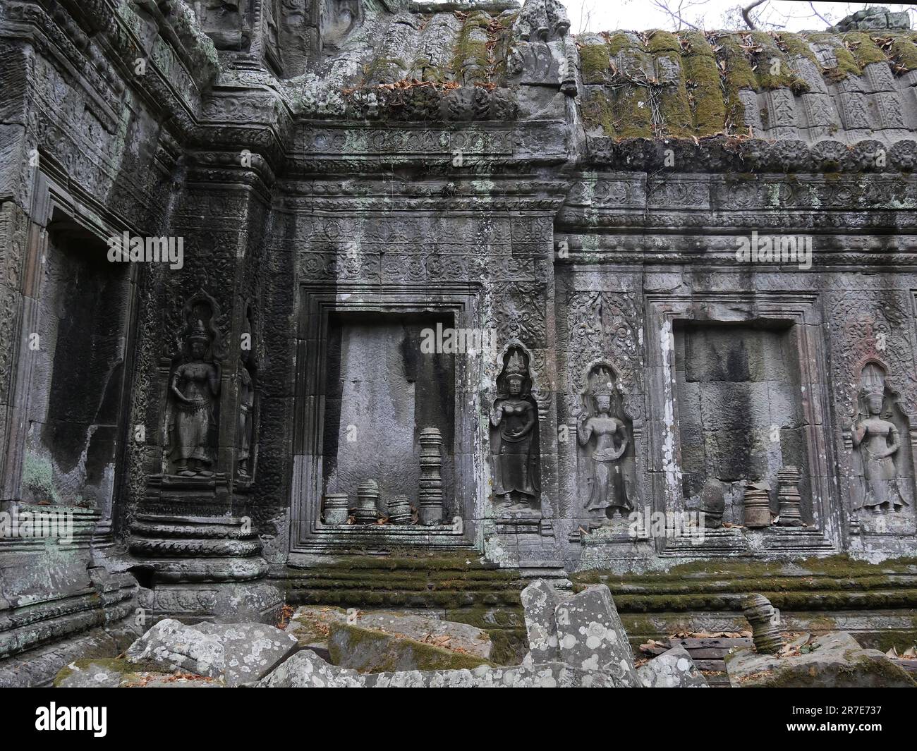 Rovine del tempio di Ta Prohm, della provincia di Siem Reap, del complesso del tempio di Angkor, patrimonio mondiale dell'UNESCO nel 1192, costruito nel 1186 dal re Jayavarma Foto Stock