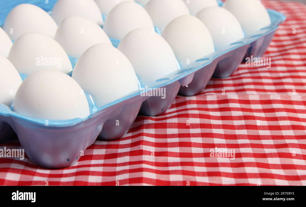 Cartone di uova su tavolo rustico con panno da tavolo a scacchi rosso Foto Stock