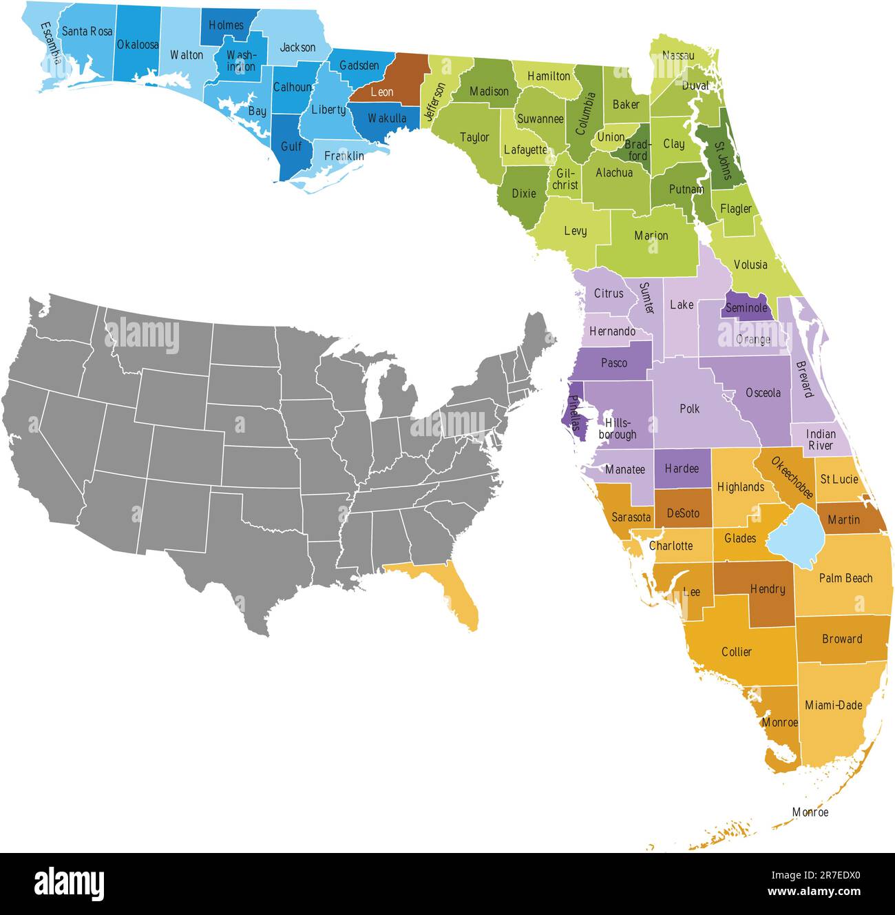 Mappa delle contee dello stato della Florida con confini e nomi . Il file EPS contiene livelli separati con il nome della contea, i confini e il livello con le contee. Ma... Illustrazione Vettoriale