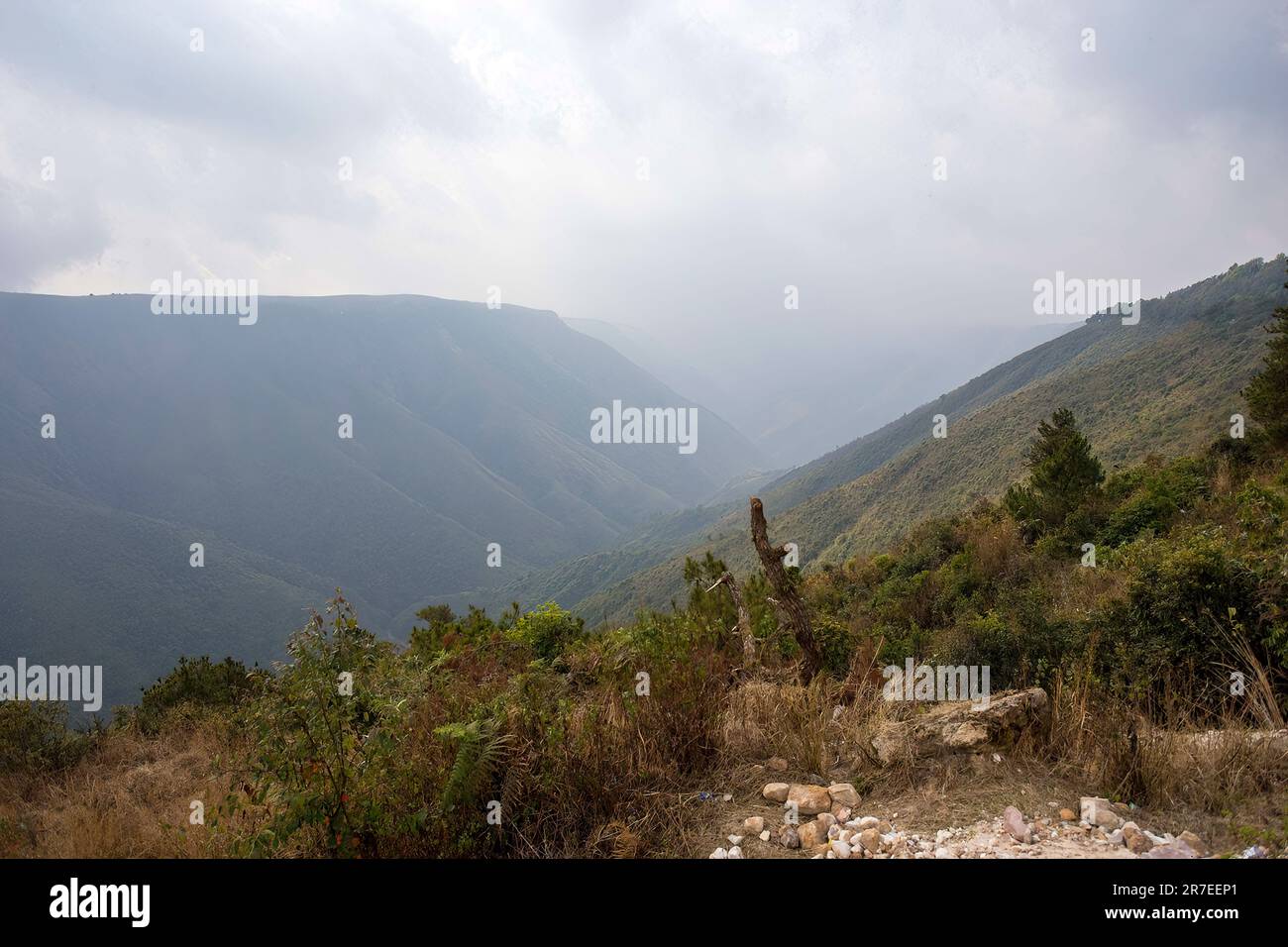 Il luogo più umido della terra Foto Stock