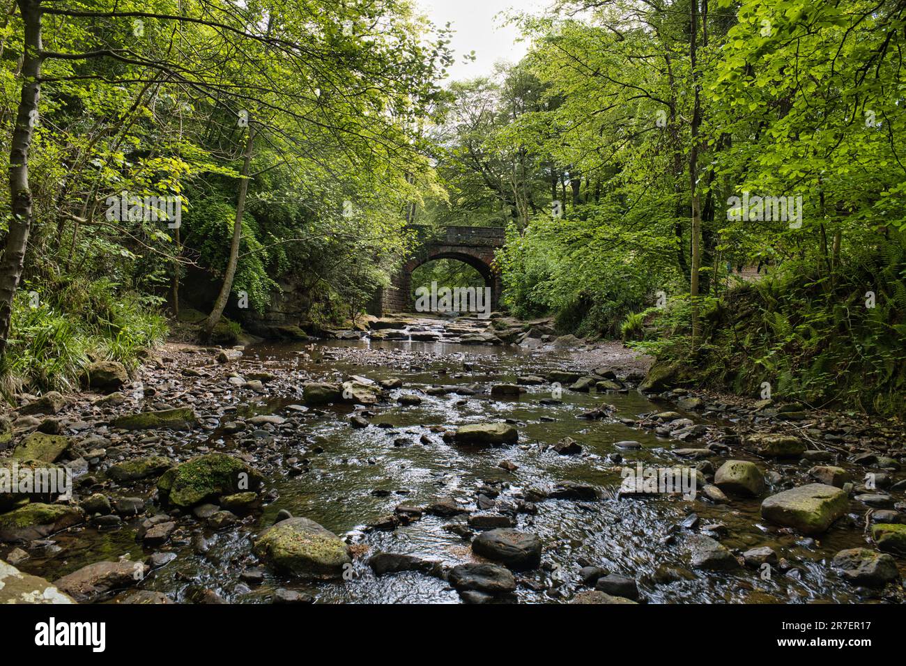 Piccolo Beck, sopra Foss caduta Foto Stock