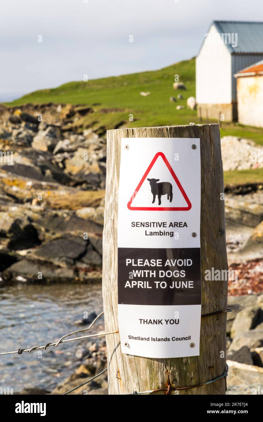 Un cartello a Burravoe on Yell, Shetland, legge zone sensibili Lambing si prega di evitare con i cani da aprile a giugno. Foto Stock