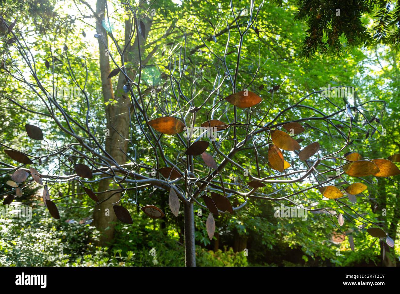 Simba albero della tranquillità. L'albero porta singole foglie che sono state incise con un messaggio personale, ognuna delle quali rappresenta un bambino Foto Stock