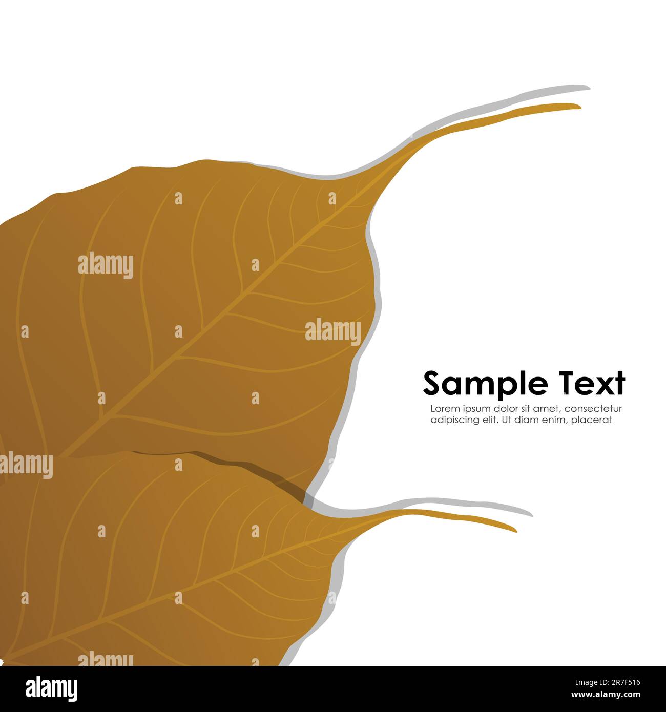 Illustrazione di autunno scheda su sfondo bianco Illustrazione Vettoriale