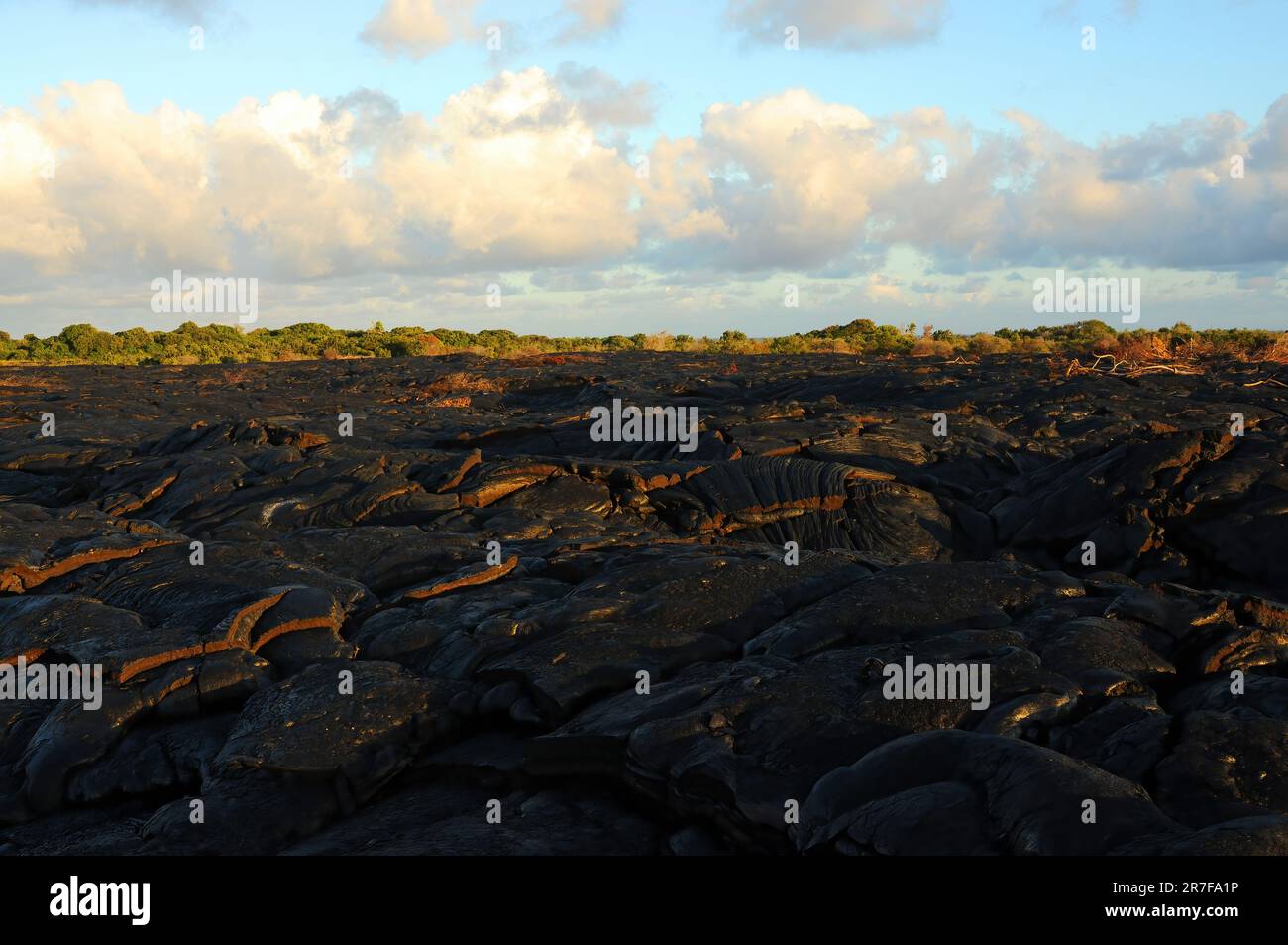Lava appena solidificata sull'isola del vulcano Hawaii Kilauea Foto Stock