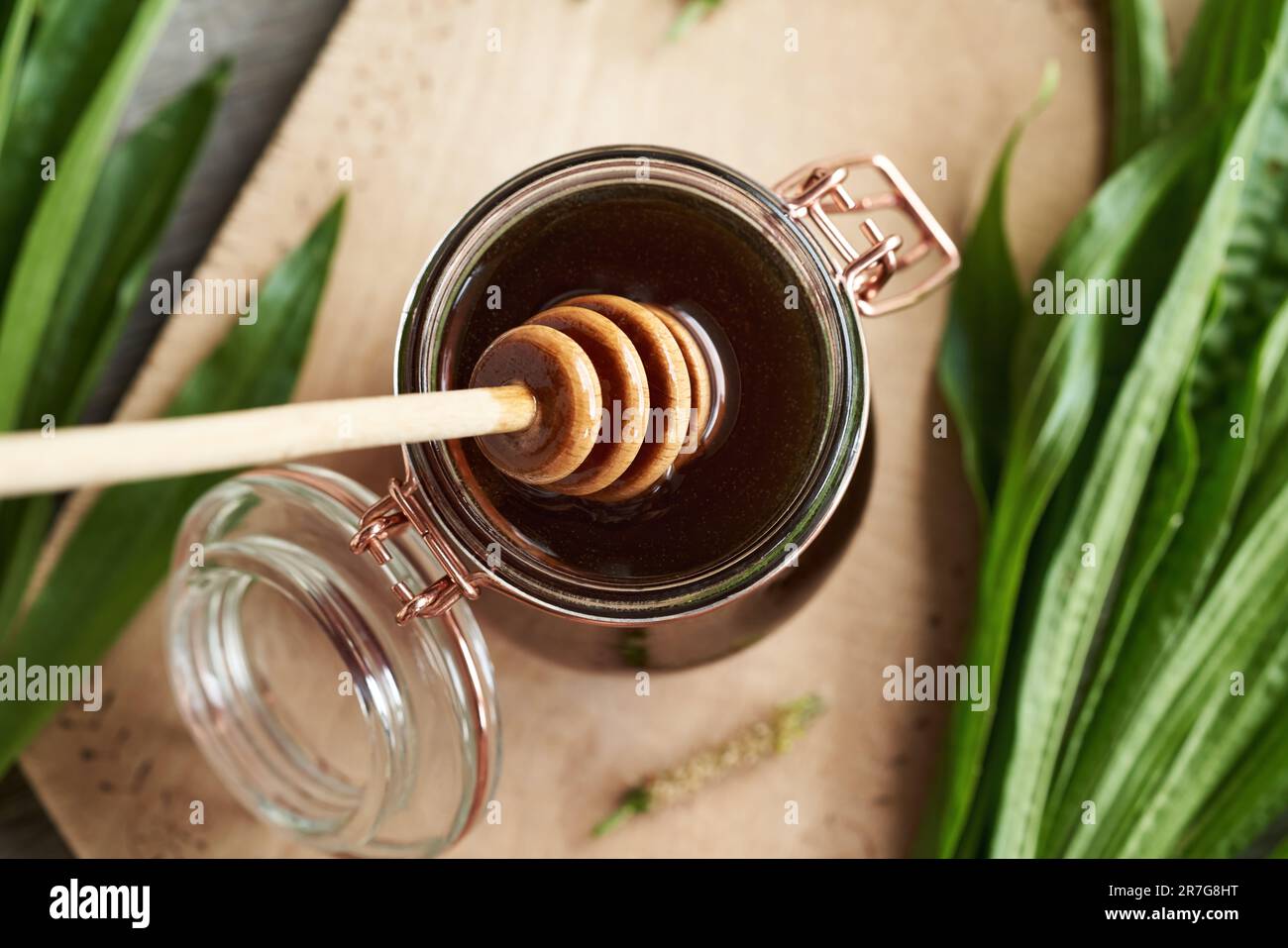 Cucchiaia di legno in un vaso di sciroppo di piantina di ribwort fatto in casa per la tosse, vista dall'alto Foto Stock