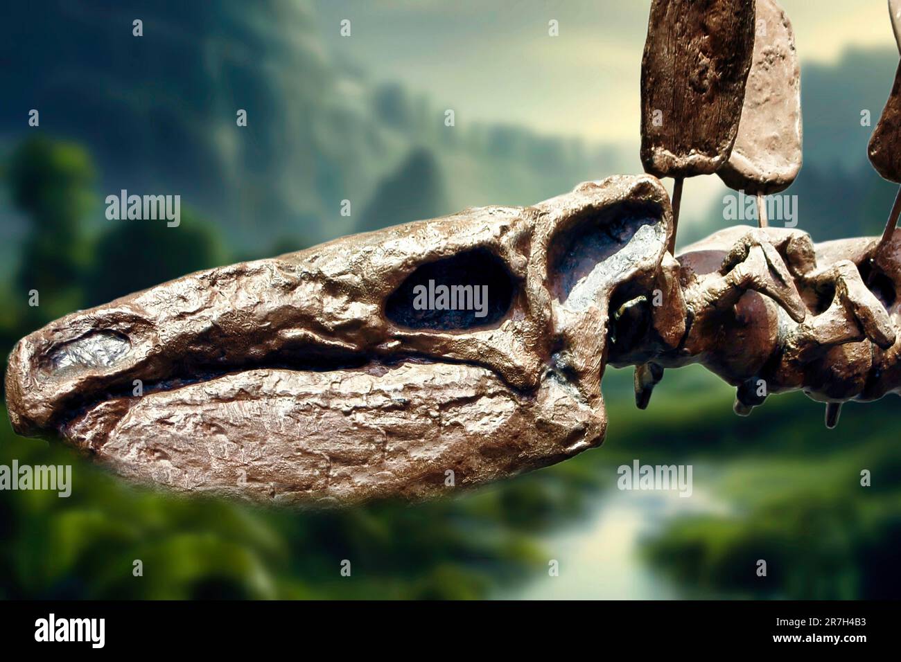 Stegosaurus era un tipo di dinosauro che visse nel tardo periodo giurassico, circa 150 milioni di anni fa. Foto Stock