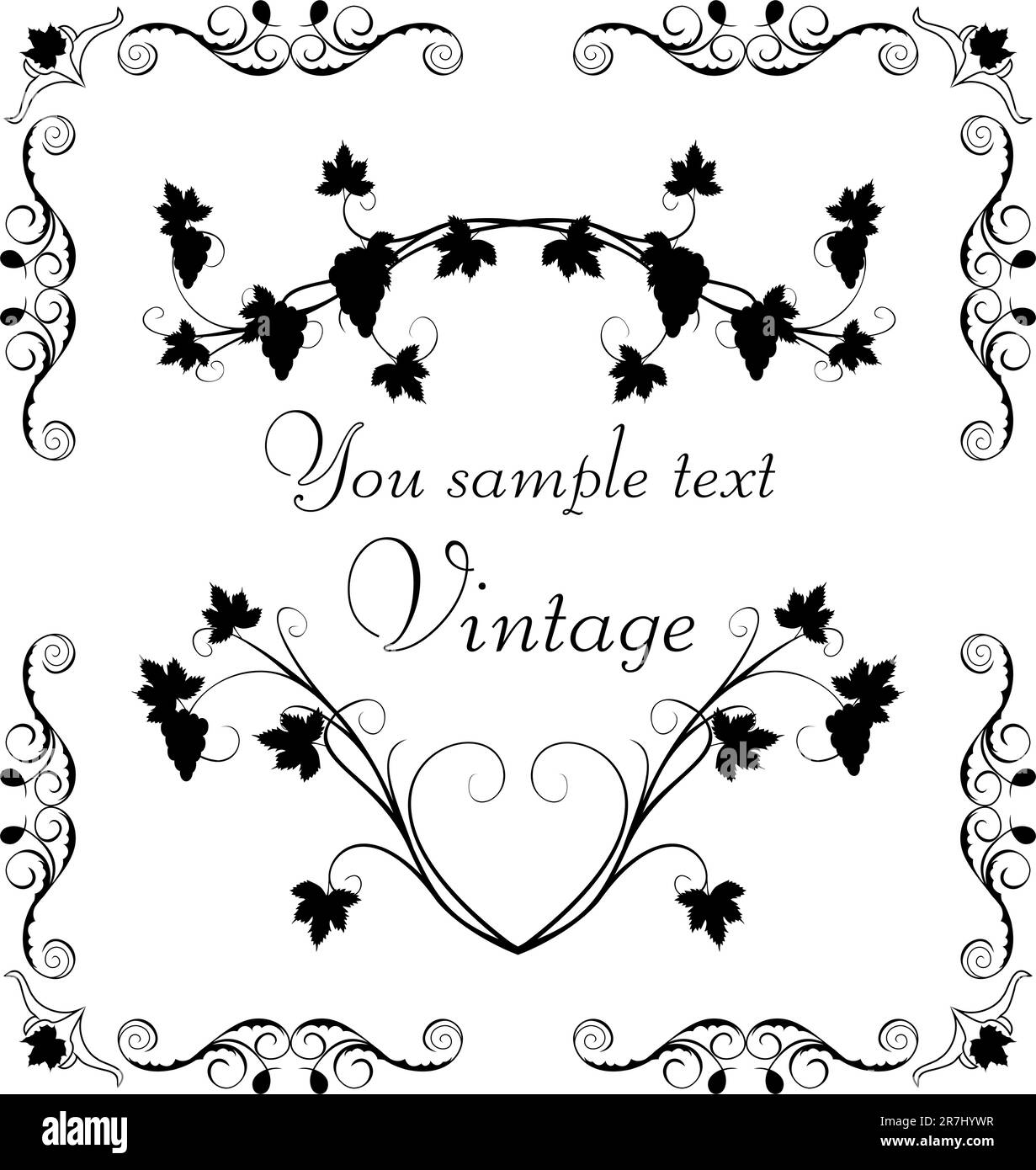 Immagine che mostra l'uva ramoscello ornato per design etichette - vettore Illustrazione Vettoriale