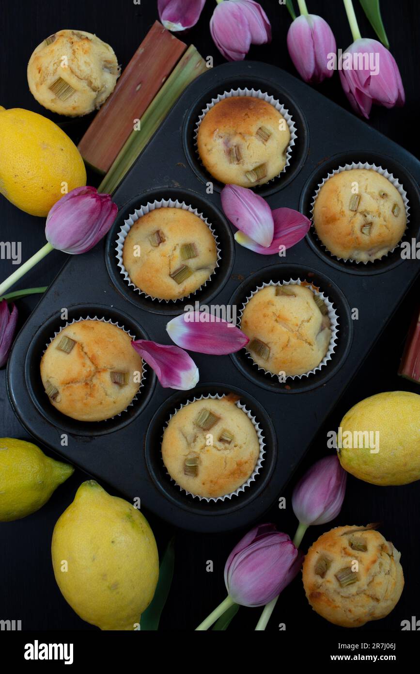 muffin al rabarbaro al limone con tulipani Foto Stock