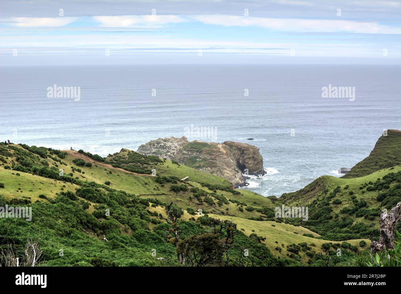 Lungo ponte pedonale in legno (il "Dock of Souls" di Chiloé) di fronte all'oceano in una giornata limpida Foto Stock