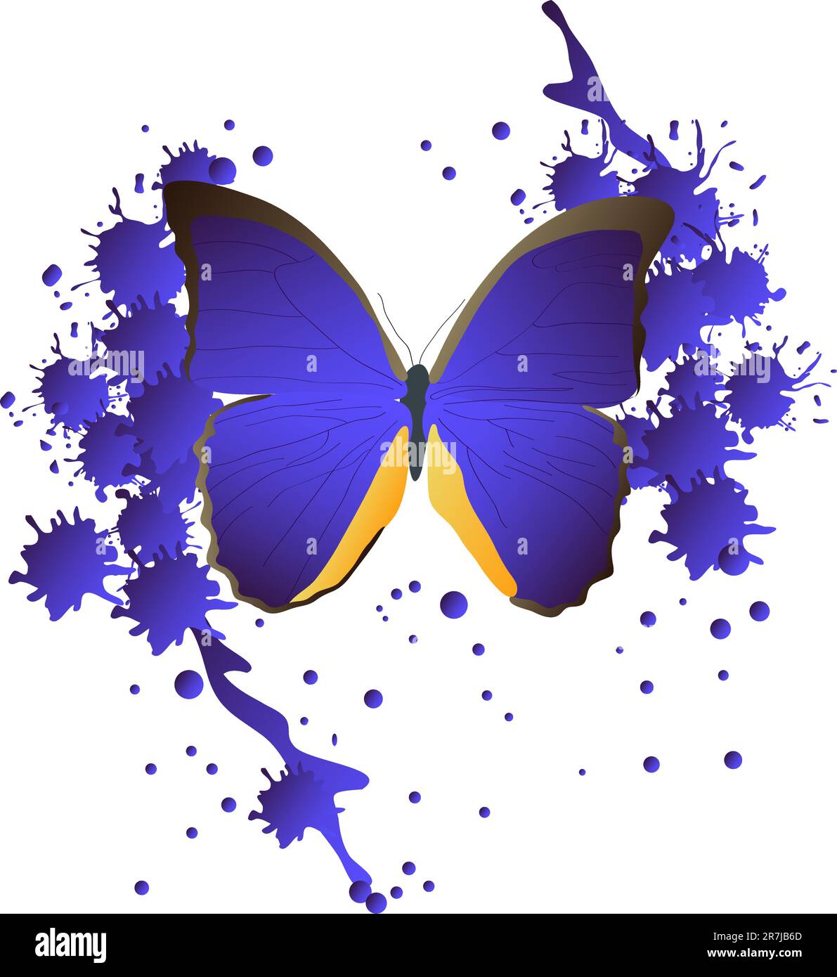 una bella e luminosa farfalla tropicale su sfondo bianco Illustrazione Vettoriale