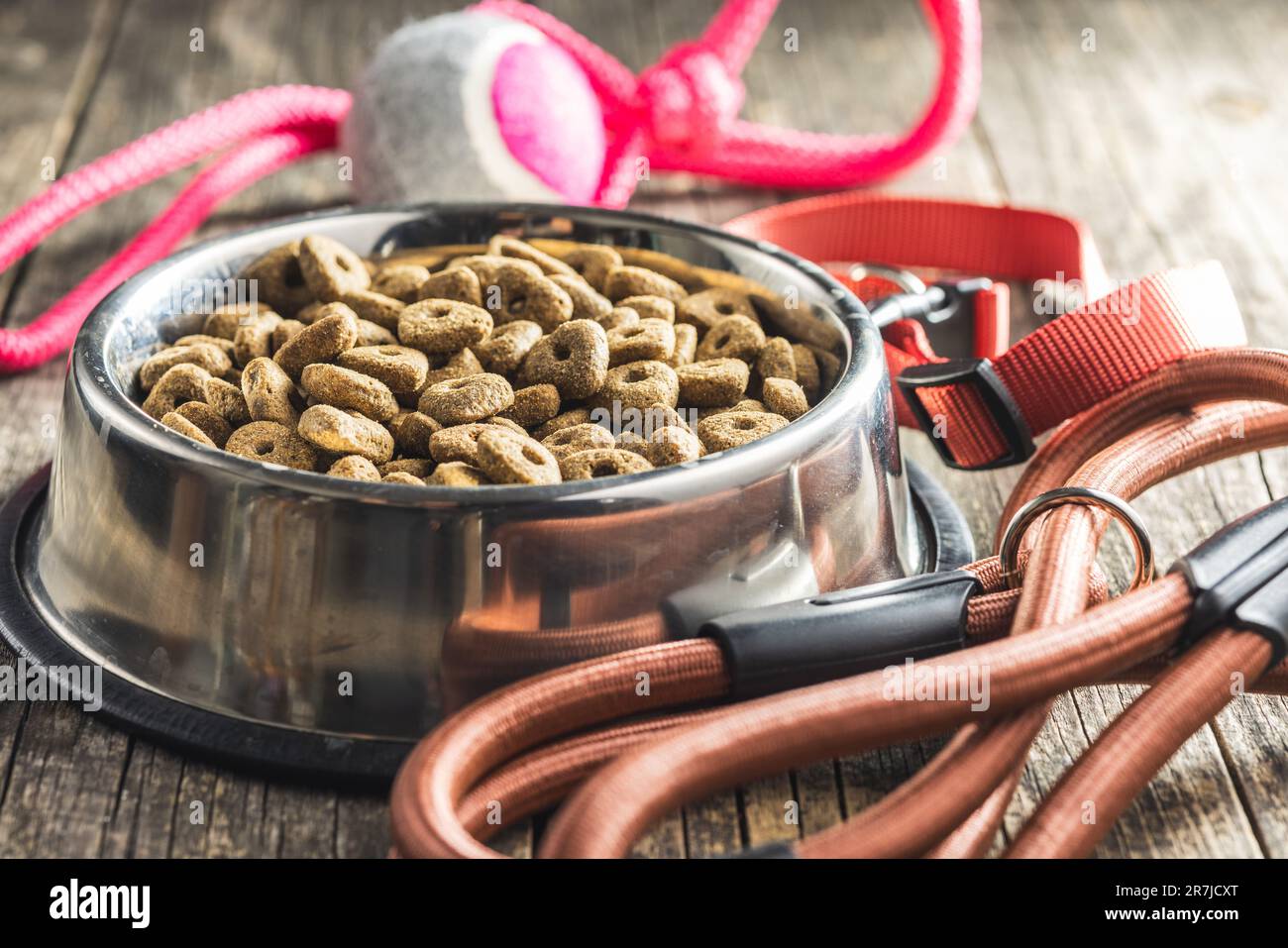 Cane piombo e cibo secco sul tavolo di legno. Foto Stock