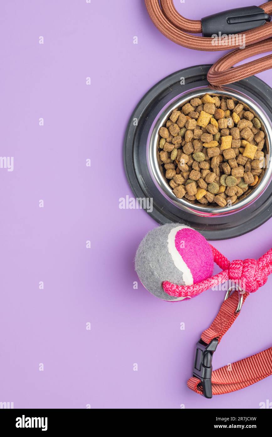 Cane piombo, giocattolo e cibo secco sul tavolo viola. Vista dall'alto. Foto Stock