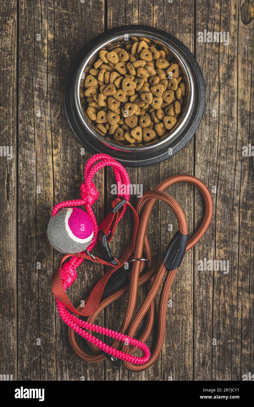 Cane piombo, giocattolo e cibo secco sul tavolo di legno. Vista dall'alto. Foto Stock