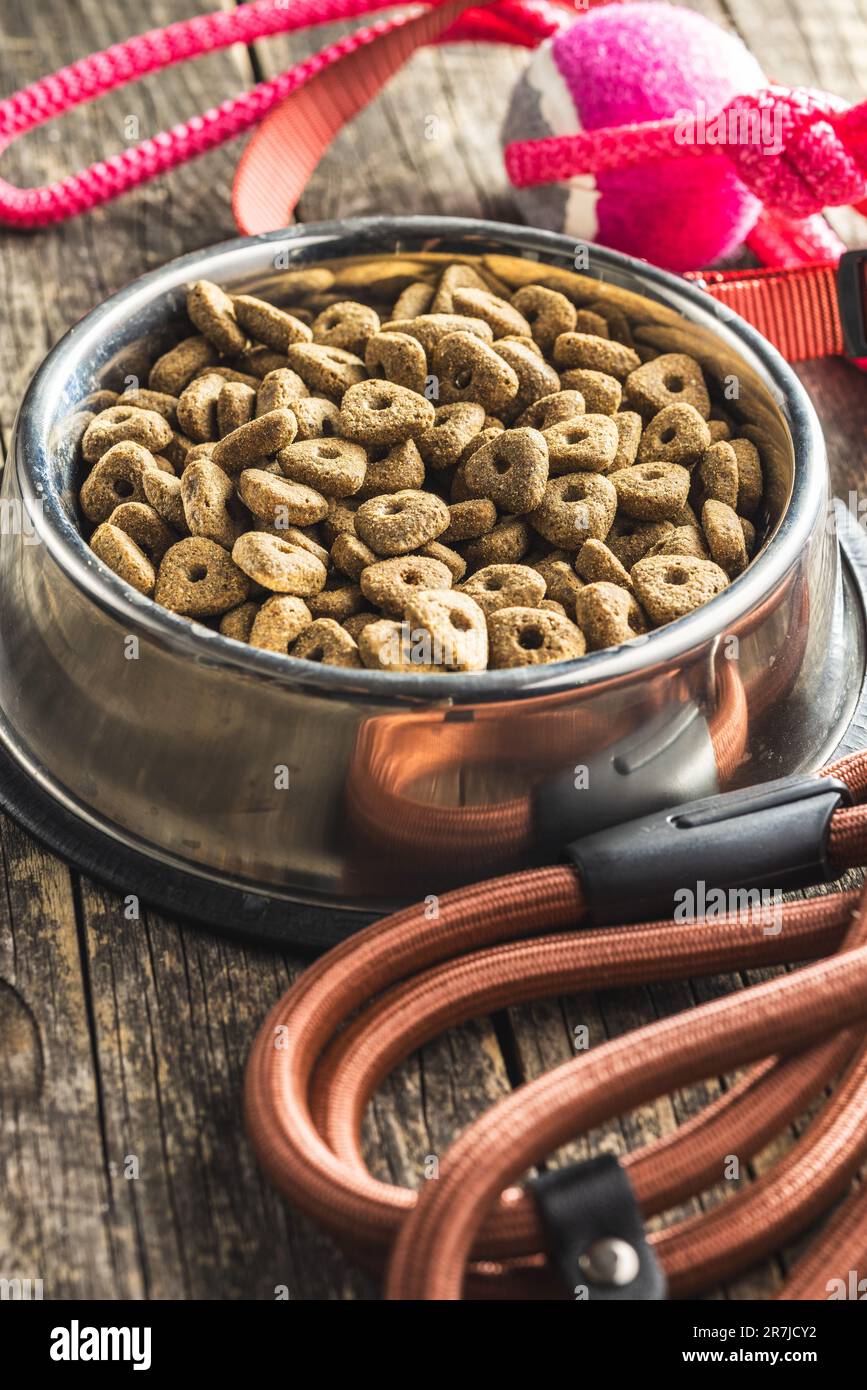 Cane piombo e cibo secco sul tavolo di legno. Foto Stock