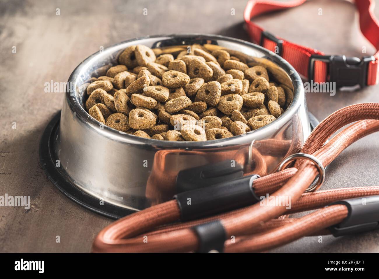 Piombo del cane e l'alimento asciutto dell'animale domestico Foto Stock