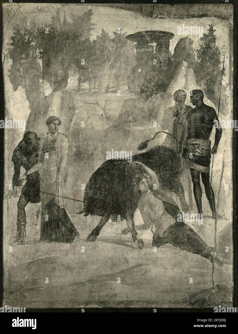 La tortura di Dirce, affresco rinvenuto alla Casa Granduke di Pompei, Museo Nazionale, Napoli, Italia 1900s Foto Stock
