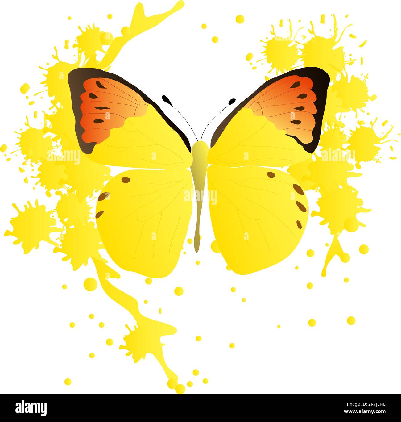 una bella e luminosa farfalla tropicale su sfondo bianco Illustrazione Vettoriale