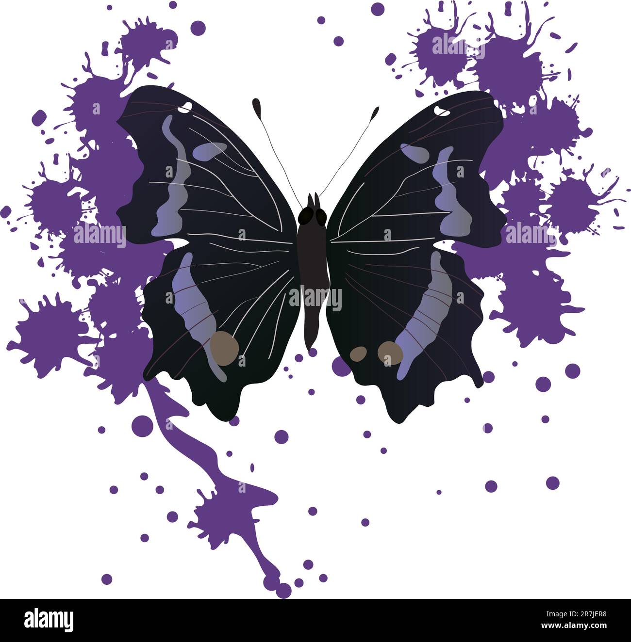 una bella e luminosa farfalla tropicale su sfondo bianco Illustrazione Vettoriale