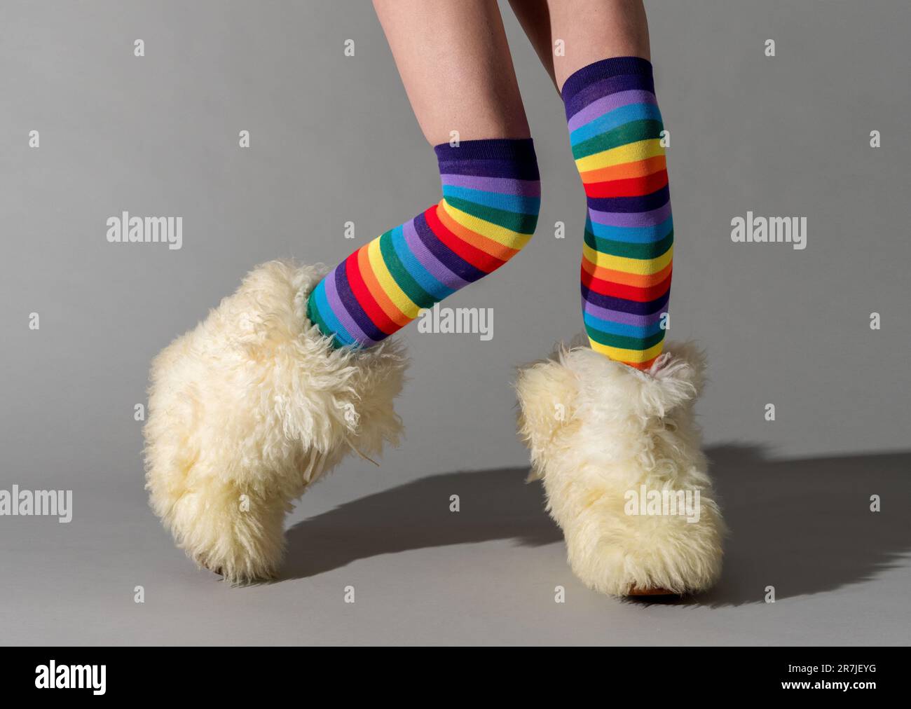 Gambe di ragazza irriconoscibile in divertenti calze colorate e morbidi stivali con ombra in piedi con un piede sul tiptep su sfondo grigio Foto Stock