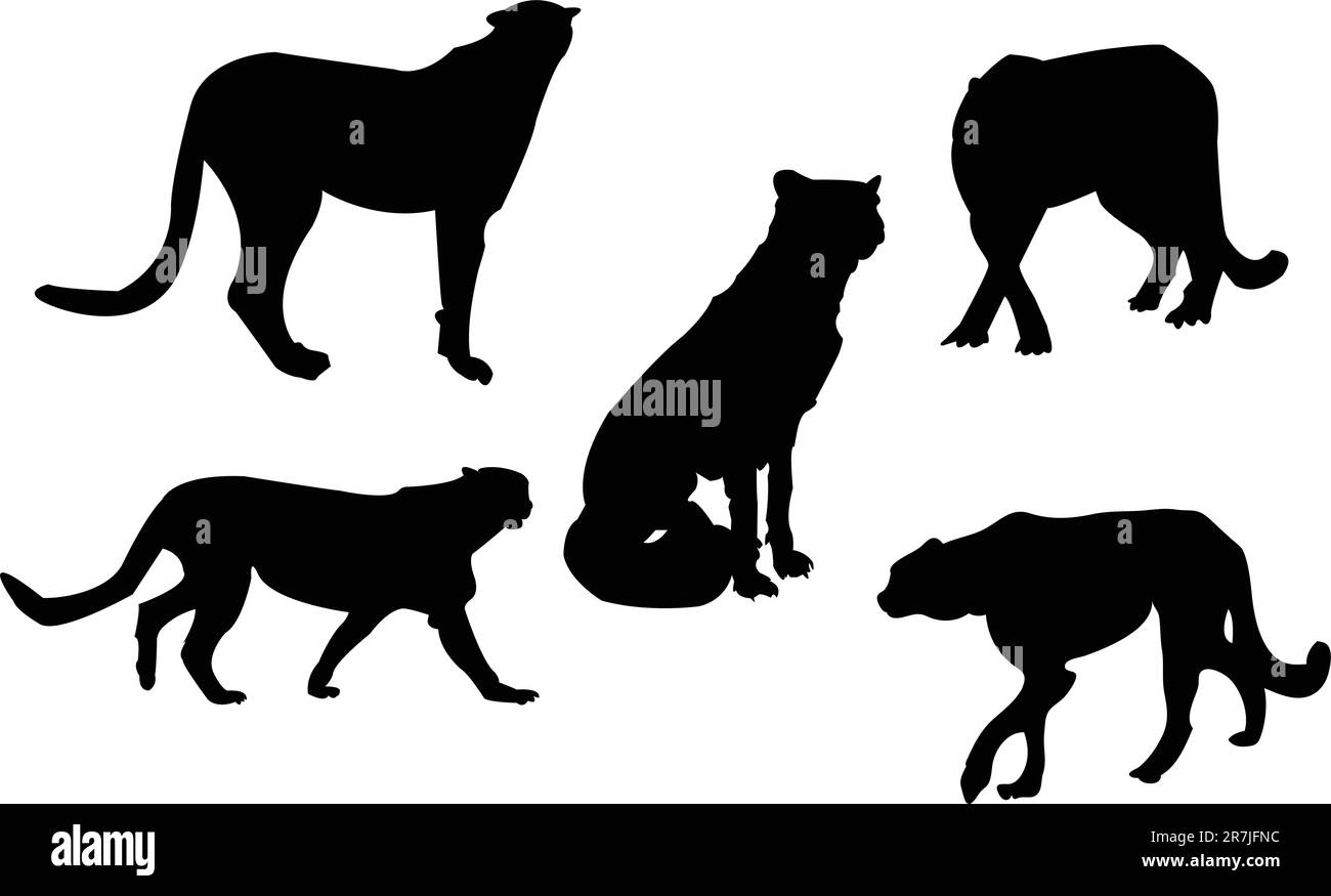 collezione leopards silhouette - vector Illustrazione Vettoriale