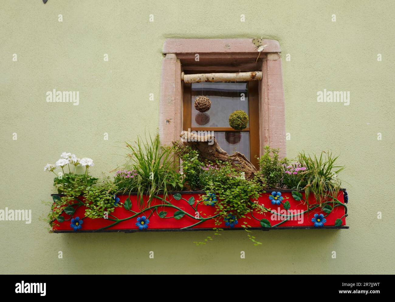 Finestra con contenitore di fiori su una casa storica a Riquewihr in Alsazia Foto Stock