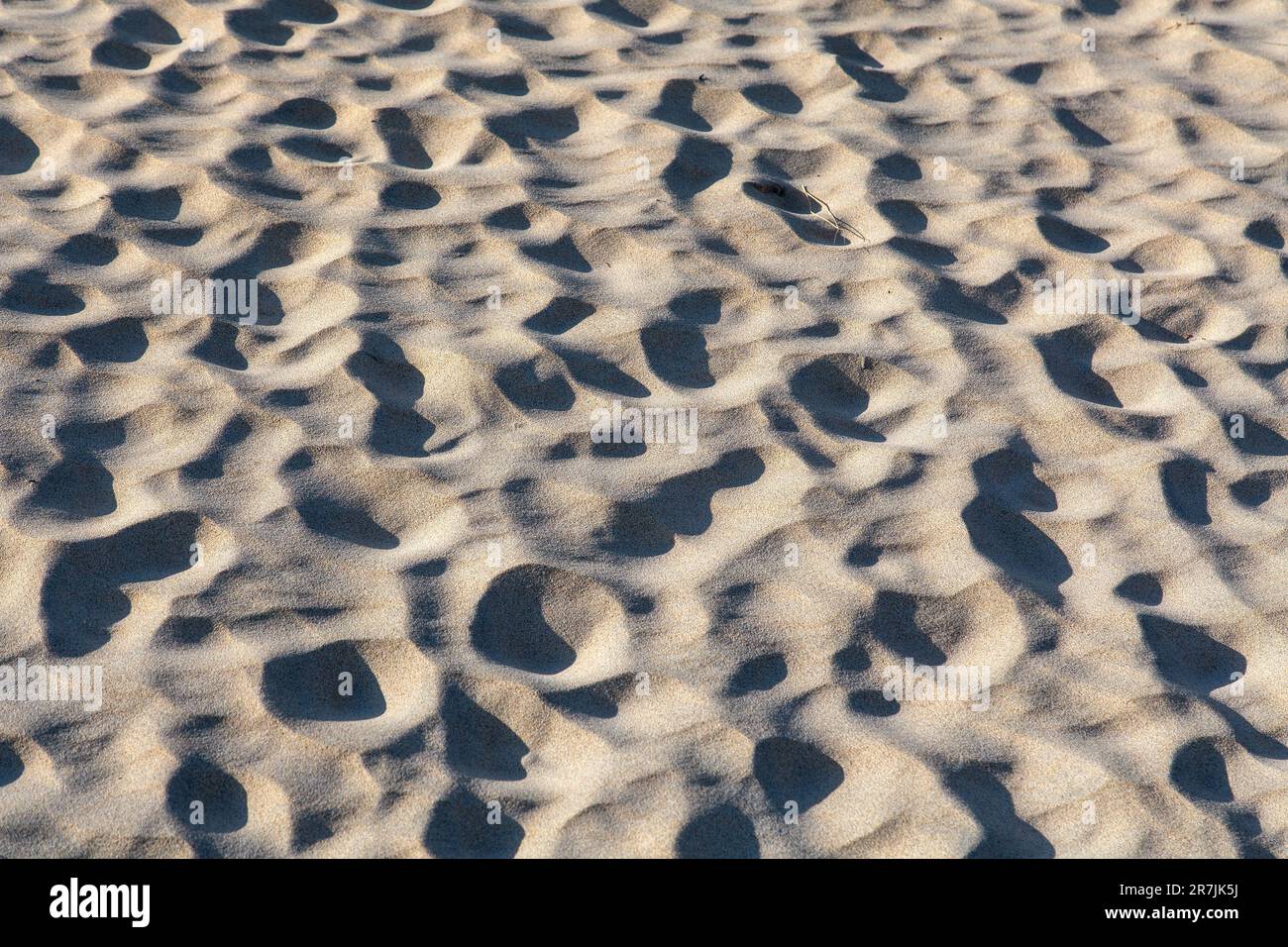Tessuti di sabbia evidenziati da Evening Sun, Harris, Isola di Harris, Ebridi, Ebridi esterne, Isole occidentali, Scozia, Regno Unito, Gran Bretagna Foto Stock