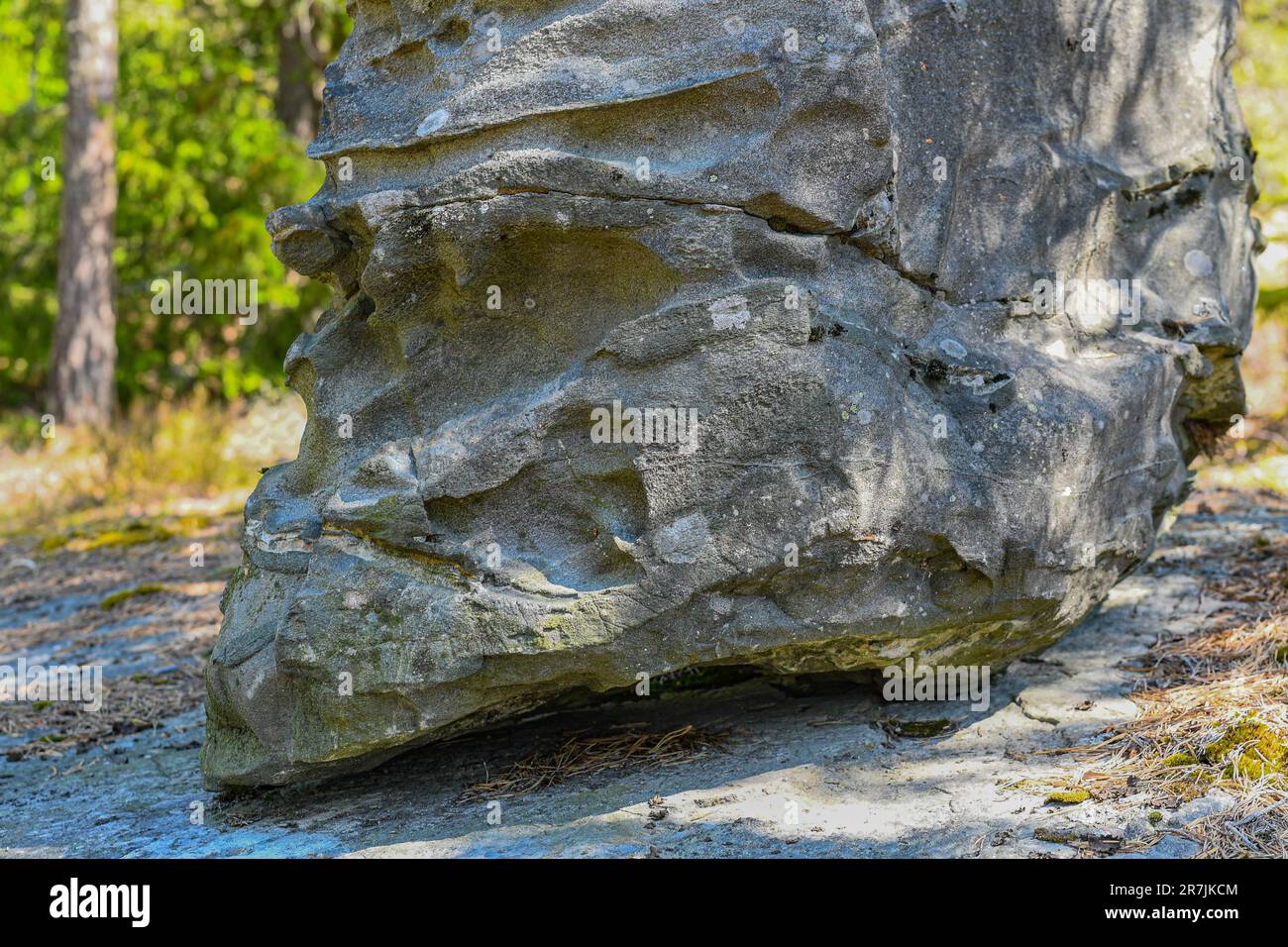 Insolita pietra grande nella foresta Foto Stock