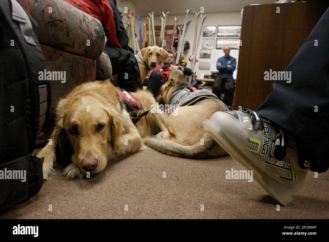 La squadra di pattuglia e i cani di soccorso di una località di montagna si incontrano al coperto. Foto Stock