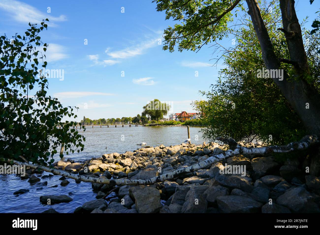 Vista dello Steinhuder Meer vicino ad Hannover nella bassa Sassonia. Paesaggio al lago con la natura circostante. Foto Stock
