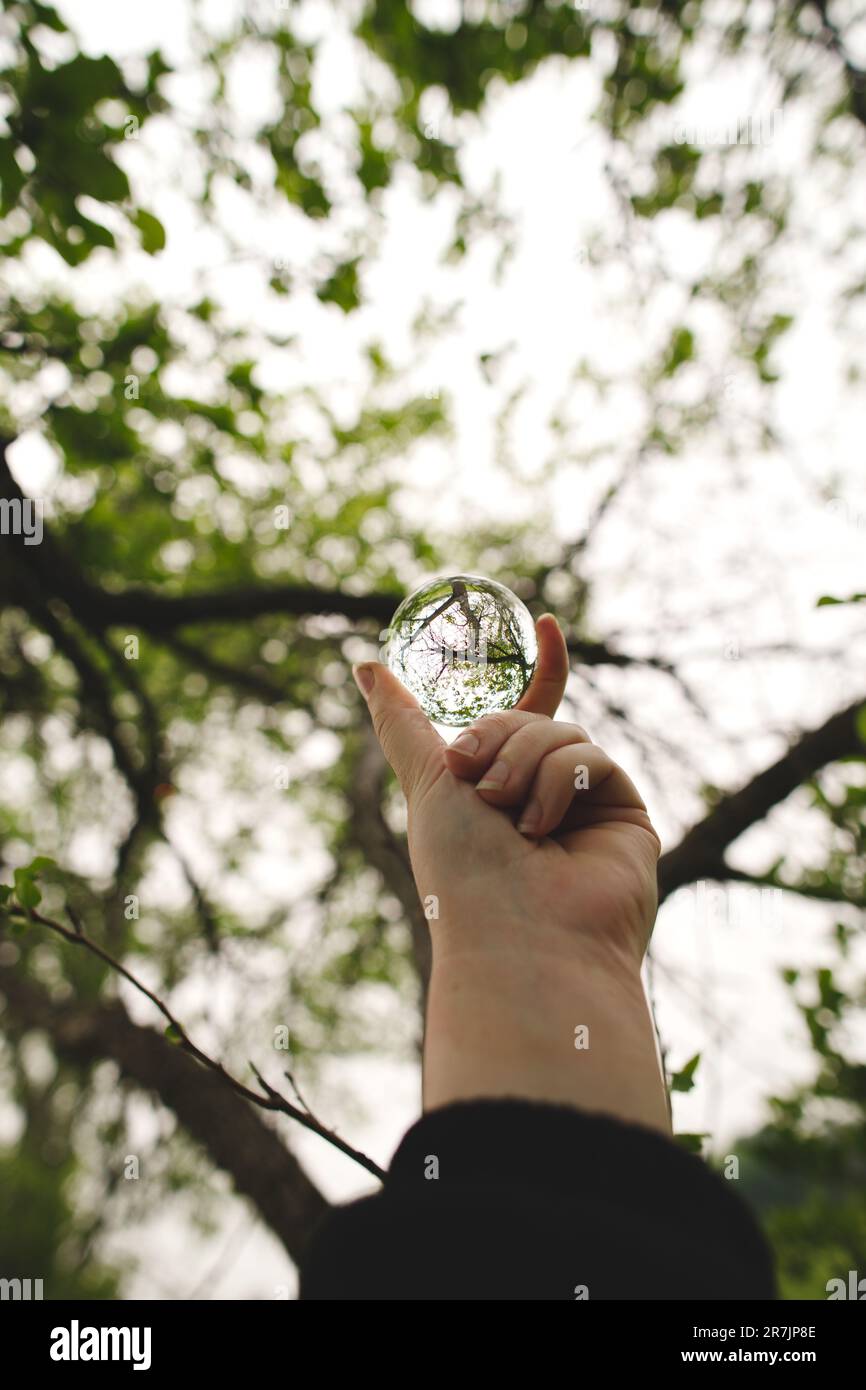 Una donna che tiene una palla di vetro contro gli alberi verdi in Ontario, Canada Foto Stock