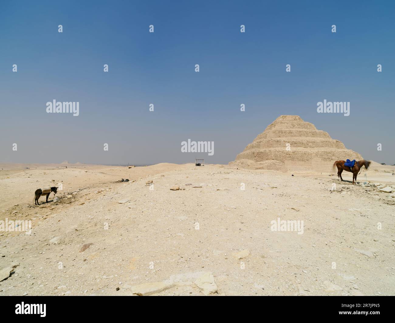 Paesaggio desertico con piramide e cavalli domestici sotto il chiaro B. Foto Stock