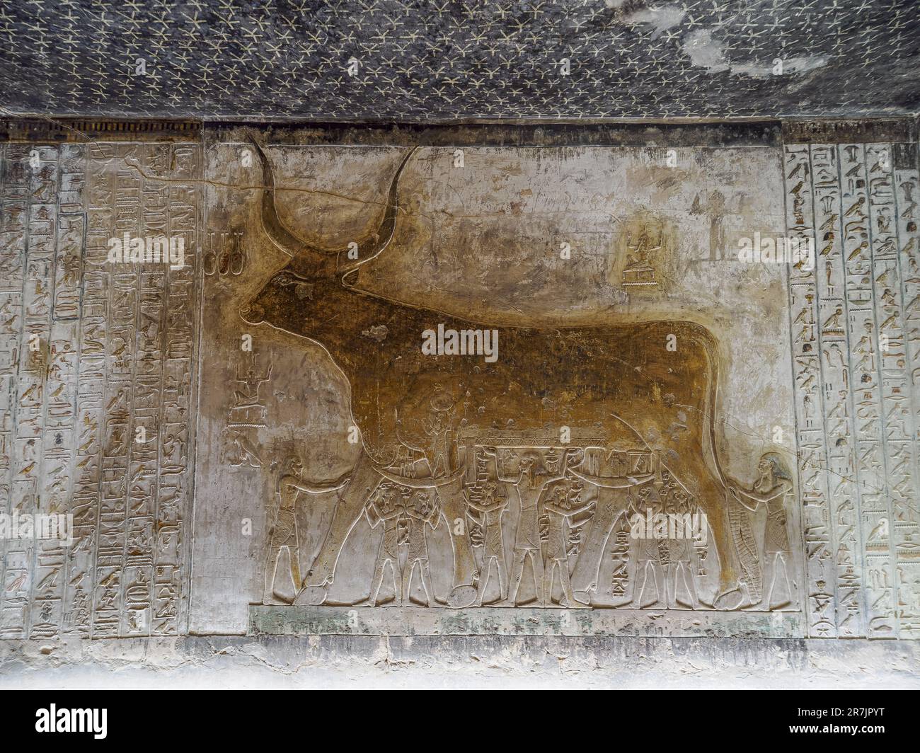 Rilievo dettagliato della mucca di Hathor al luogo storico nella valle di Luxors Foto Stock
