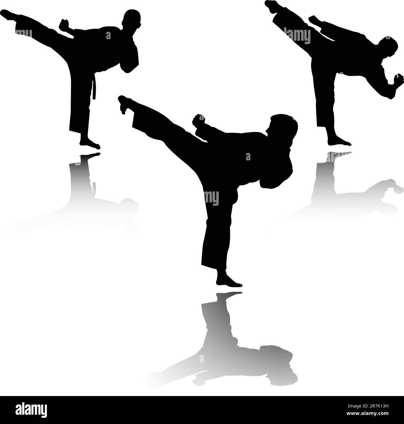 illustrazione del caccia di karate - vettore Illustrazione Vettoriale
