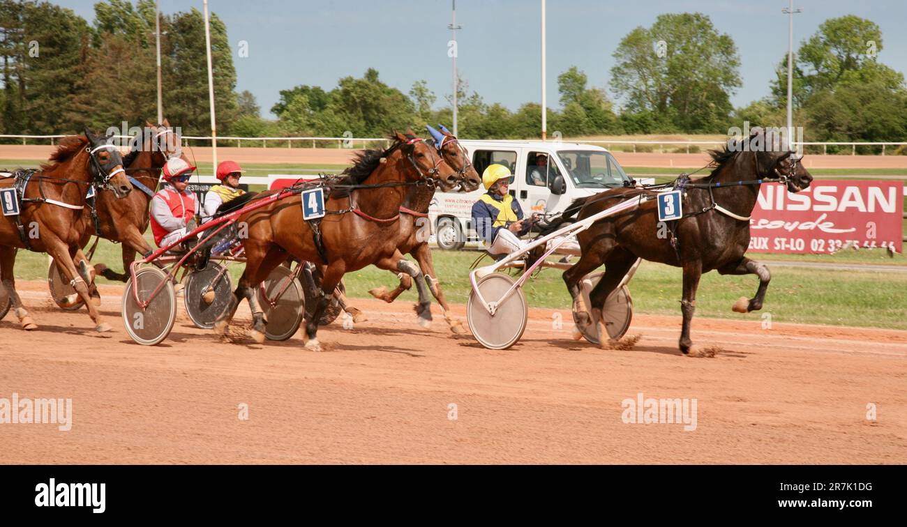 Una corsa al traguardo all'ippodromo di Graignes, Graignes, Normandia, Francia, Europa Foto Stock