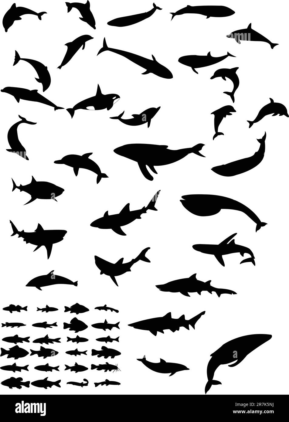 collezione di animali marini silhouette - vettore Illustrazione Vettoriale