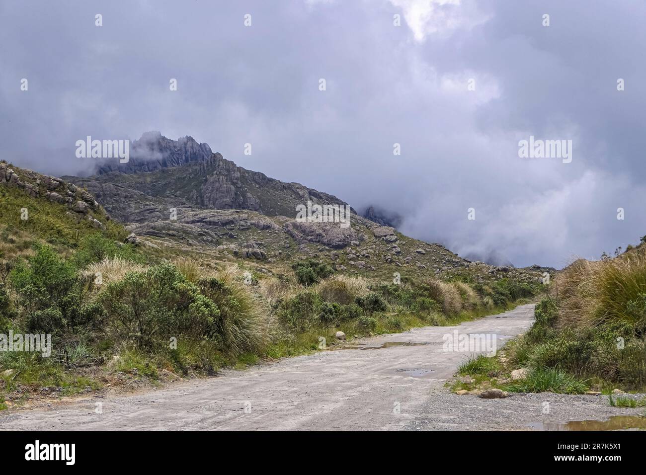 Strada che conduce le montagne nuvolose della Serra da Mantiqueira (catena montuosa di Mantiqueira), alta Itatiaia, Brasile Foto Stock