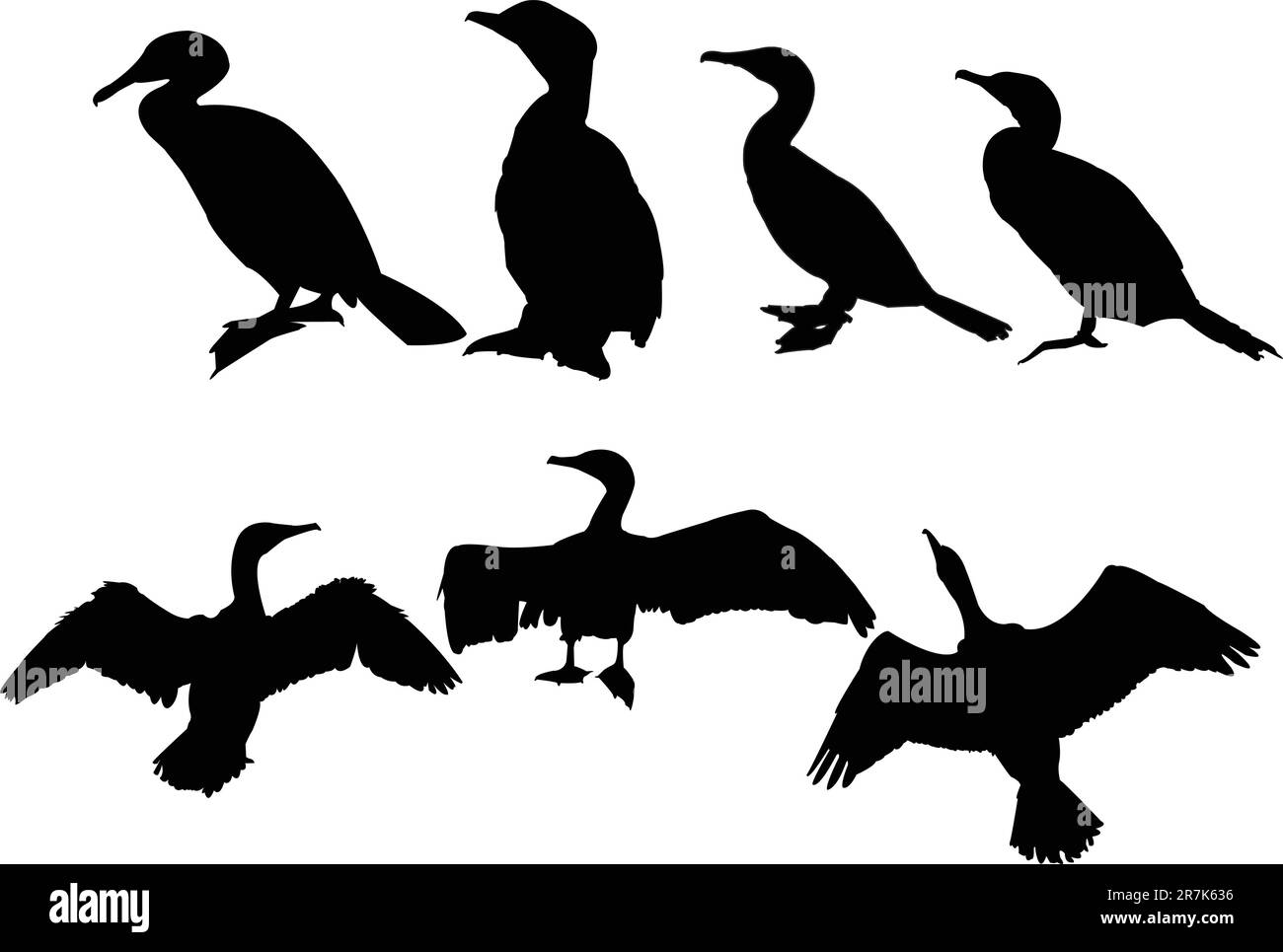 raccolta dei cormorani - vettore Illustrazione Vettoriale