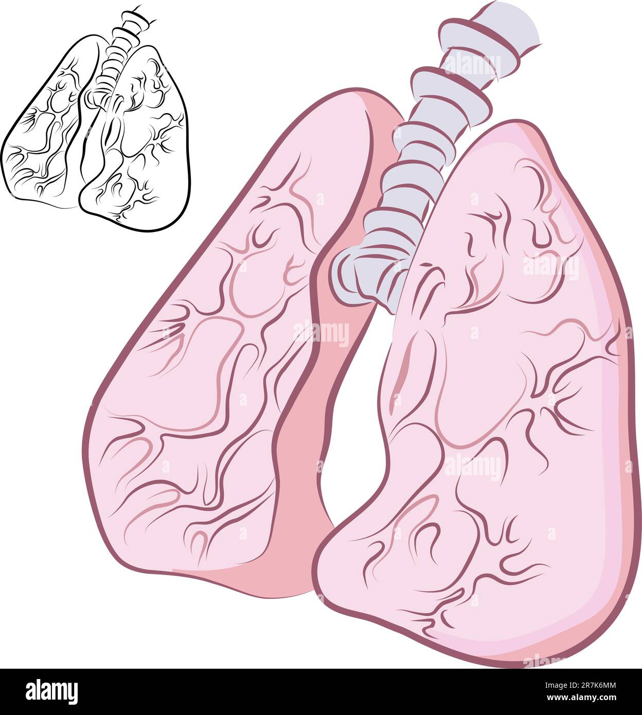 Una immagine di una serie di polmoni umani. Illustrazione Vettoriale
