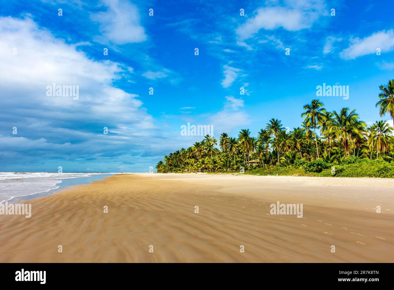 Paesaggio dell'idilliaca spiaggia di Sargi con le sue palme da cocco e sabbia che incontra il mare a Serra Grande sulla costa di Bahia, nel nord-est del Brasile Foto Stock